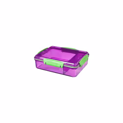 Sistema 41482 Lunch Snack Attack Duo, 975 ml - (Assorted Colour)