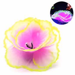 Fish Tank Decoration|Cl0088 Fish Tank Decorative Landscape-Purple