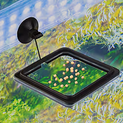 2 Pcs Fish Feeding Ring, Fish Safe Floating Food Feeder Circle ,Black