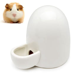 Automatic Drinking Water Feeder, Ceramic Silent Pet Water Dispenser-White