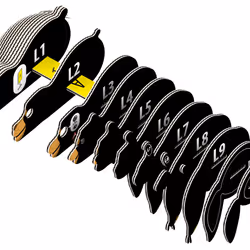 Eugy Black Bear 3D Puzzle