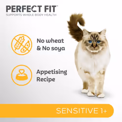 Perfect Fit Sensitive Adult 1+ Complete Dry Cat Food for Adult Cats Aged 1+ Years, Rich in Turkey, 4 Bags (750 g)