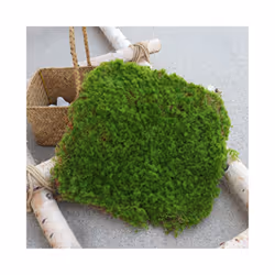 Buy5get2 free Simulation Moss Grass Turf Lawn Artificial Moss Green Fake - 20x20cm