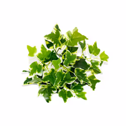 Buy5get2 free Artificial Grass Plants For Store Shop Bonsai Fake Small - Style 3