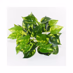 Buy5get2 free Artificial Grass Plants For Store Shop Bonsai Fake Small - Style 8