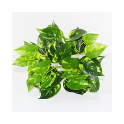 Buy5get2 free Artificial Grass Plants For Store Shop Bonsai Fake Small - Style 8