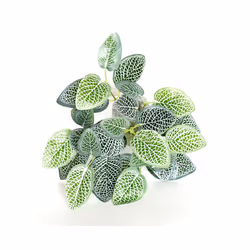 Buy5get2 free Artificial Grass Plants For Store Shop Bonsai Fake Small - Style 8