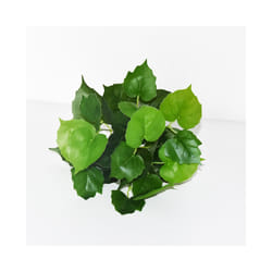 Buy5get2 free Artificial Grass Plants For Store Shop Bonsai Fake Small - Style 13