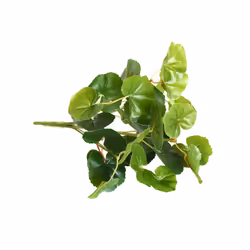 Buy5get2 free Artificial Grass Plants For Store Shop Bonsai Fake Small - Style 15