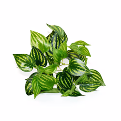 Buy5get2 free Artificial Grass Plants For Store Shop Bonsai Fake Small - Style 18