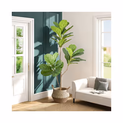Buy5get2 free 70/135cm Artificial Ficus Tree Branches Large Banyan Leaves - ZA-301-70103