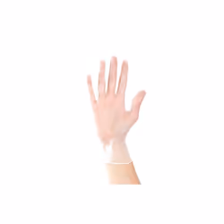 Aurelia Delight PF Disposable gloves Transparent Vinyl 100 pc(s)