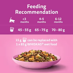 Whiskas Junior Chicken 7 kg Bag, Kitten Cat Dry Food - Pack May Vary