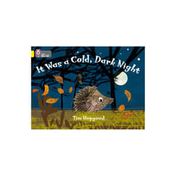 Collins Big Cat Ã¢ÂÂ It Was a Cold Dark Night: Band 03/Yellow (Paperback)