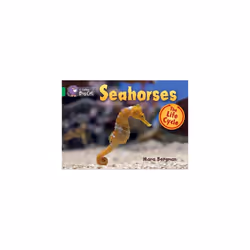 Seahorses: Band 05/Green (Collins Big Cat)