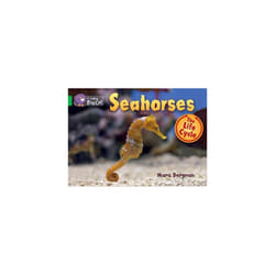 Seahorses: Band 05/Green (Collins Big Cat)