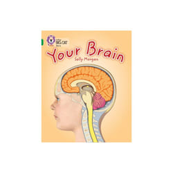 Collins Big Cat Ã¢ÂÂ Your Brain: Band 15/Emerald (Paperback)