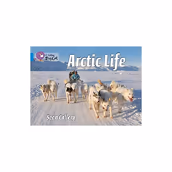 Collins Big Cat â Arctic Life: Band 04/Blue (Paperback)
