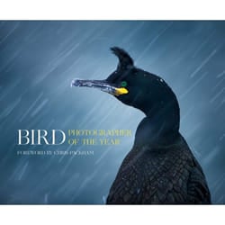 ISBN Bird Photographer of the Year