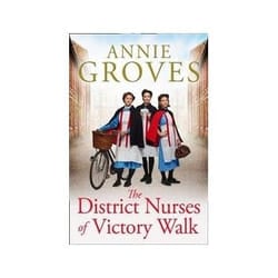ISBN District Nurses of Victory Walk book General novel English 400 pages