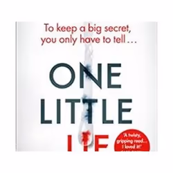ISBN One Little Lie, Detective, English, Paperback, 384 pages