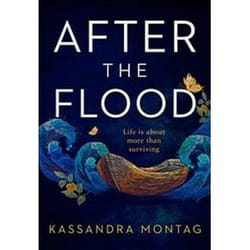 ISBN After the Flood book General novel English 432 pages
