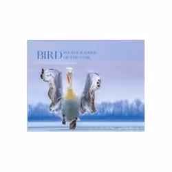 ISBN Bird Photographer of the Year : Collection 4, Photography, English, Hardcover, 256 pages