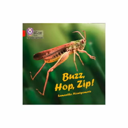Buzz Hop Zip Big Book by Montgomerie & Samantha