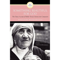 ISBN Something Beautiful for God