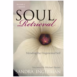 ISBN Soul Retrieval, Trade Paperback, 240 pages