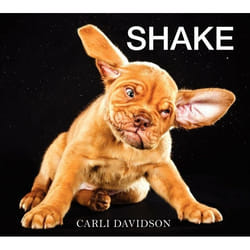 ISBN Shake