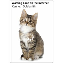 ISBN Wasting Time on the Internet