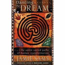 ISBN Dancing the Dream, Trade Paperback, 288 pages