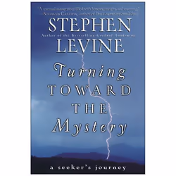 ISBN Turning Toward the Mystery, Trade Paperback, 272 pages