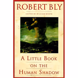 ISBN A Little Book on the Human Shadow, Trade Paperback, 96 pages