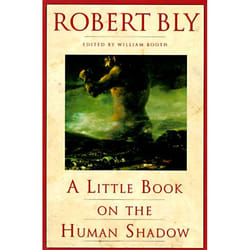 ISBN A Little Book on the Human Shadow