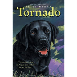 ISBN Tornado