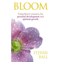 ISBN Bloom book English Paperback 256 pages
