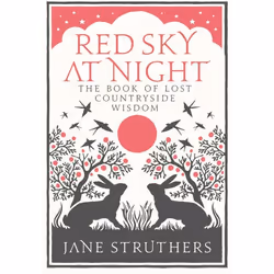 ISBN Red Sky at Night, English, Hardcover, 288 pages