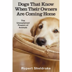 ISBN Dogs That Know When Their Owners Are Coming Home, English, Paperback, 320 pages