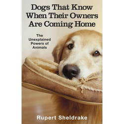 ISBN Dogs That Know When Their Owners Are Coming Home book English Paperback 320 pages