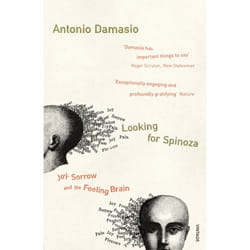 ISBN Looking For Spinoza book English 368 pages