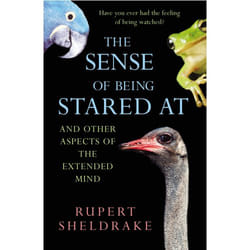 ISBN The Sense Of Being Stared At book English Paperback 384 pages