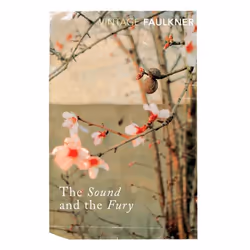 ISBN The Sound and the Fury, English, Paperback, 288 pages