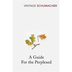 ISBN A Guide For the Perplexed book English 192 pages