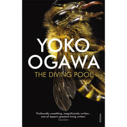ISBN The Diving Pool book English Paperback 176 pages