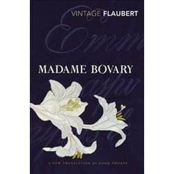 ISBN Madame Bovary book General novel English Paperback 384 pages