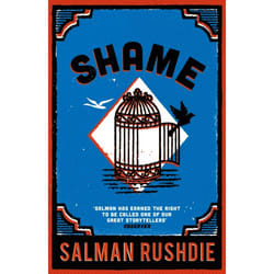 ISBN Shame book English Paperback 288 pages