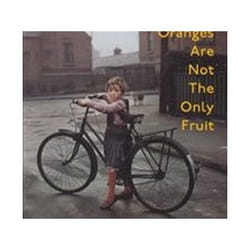 ISBN Oranges Are Not The Only Fruit book General novel English Paperback 187 pages