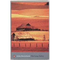 Penguin THE LONG VALLEY book English Paperback 272 pages